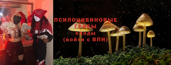меф Алексин