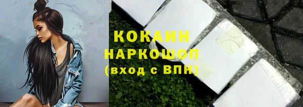 ECSTASY Болотное